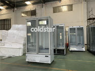 R134A κρύα δοχεία ψύξης 2 ποτών ψυγείο πορτών γυαλιού