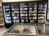 Carel Thermostat Commercial Upright Freezer για τα παγωμένα τρόφιμα
