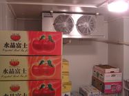 Μίνι τύπος αερόψυξης δωματίων κρύας αποθήκευσης για το φυτικό πάγωμα φρούτων