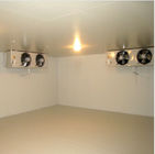 Προσαρμοσμένο δωμάτιο κρύας αποθήκευσης ψυκτήρων για το πράσινη τσάι ή την πίτσα 420V